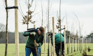 Foto 4: Houtwal 2.0 (foto Anouk Hemmink).