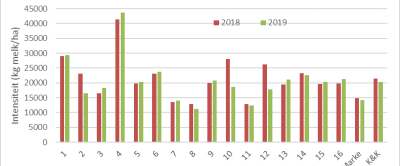 Figuur 2: Intensiteit per bedrijf op Koeien & Kansen-bedrijven in 2018 en 2019.