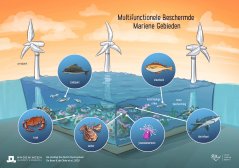 Multifunctional Marine Protected Areas_NL.jpg