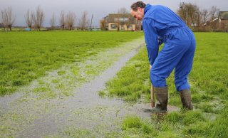Figuur 2: Veehouder probeert de verstopte greppelafvoer naar de sloot te heropenen. 