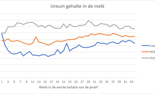 Ureum gehalte in de melk van koeien met verschillende eiwitgehaltes in het rantsoen (Laag: 13.3%; Midden 14.3%; Hoog: 15.4%) tijdens de eerste lactatie (44 weken) van de proef.