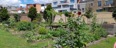 moestuin_1939378696.jpg