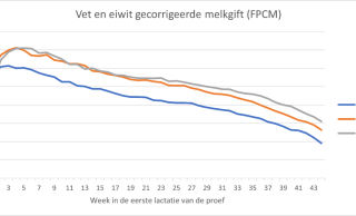 Figuur 2: Vet en eiwit gecorrigeerde melkgift (FPCM) van koeien met verschillende eiwitgehaltes in het rantsoen (Laag: 13.3%; Midden 14.3%; Hoog: 15.4%) tijdens de eerste lactatie (44 weken) van de proef.