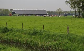 Het bedrijf is gelegen in het prachtige landschap in buurt van Holten 